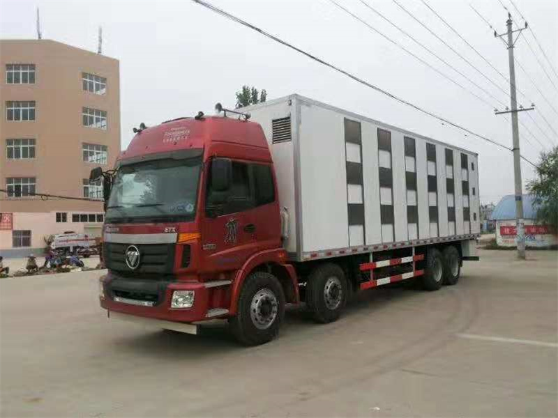前四后八運豬車